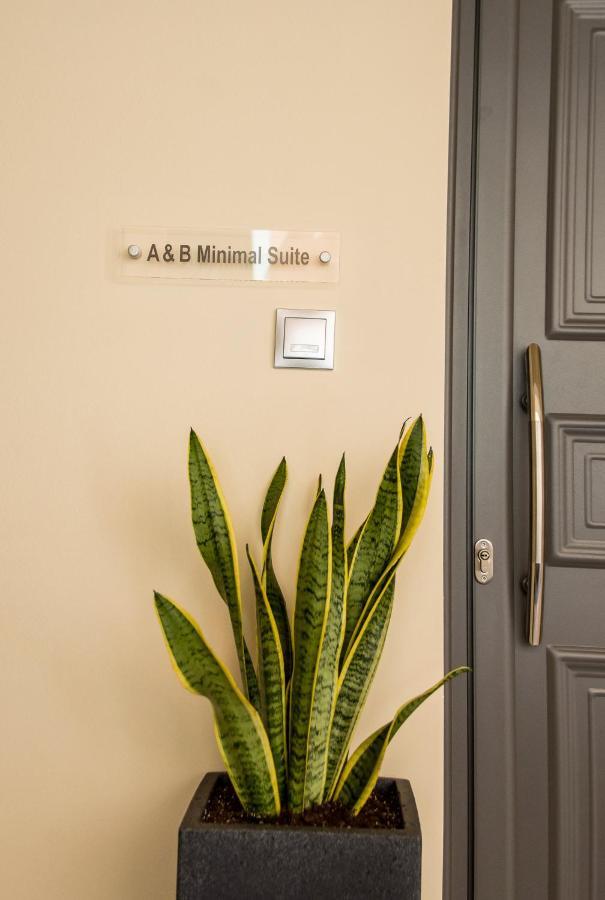 A & B Minimal Suite Ιι With Sea View In Argostoli Eksteriør billede